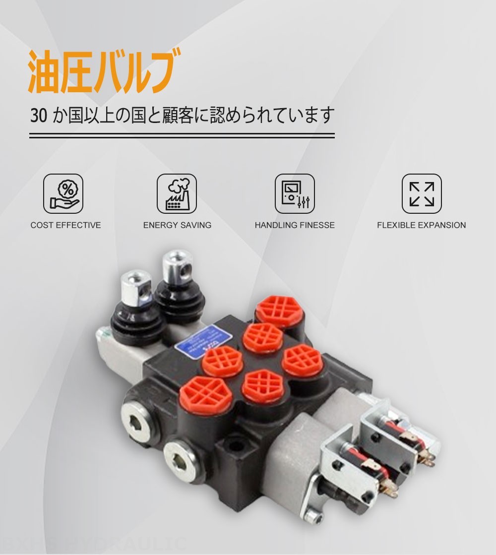 P40 Micro Switch 手動 2スプール モノブロック方向弁